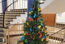Zum Artikel "Ökumenische Weihnachtsbaumaktion der Hochschulgemeinden"