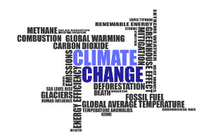 Zum Artikel "„Kompetenzseminar zum Klimawandel“ im Wintersemester"