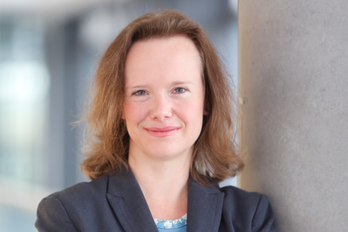 Beitragsbild für Prof. Dr. Kimmelmann