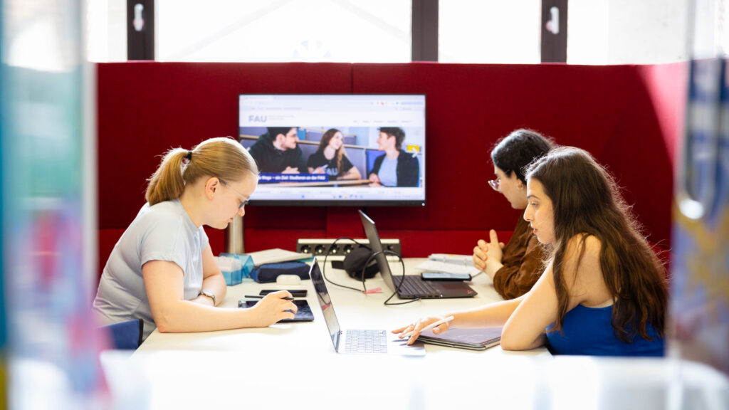 Einführung „Perspektiven der Wirtschaftswissenschaften“ (Unternehmensplanspiel)