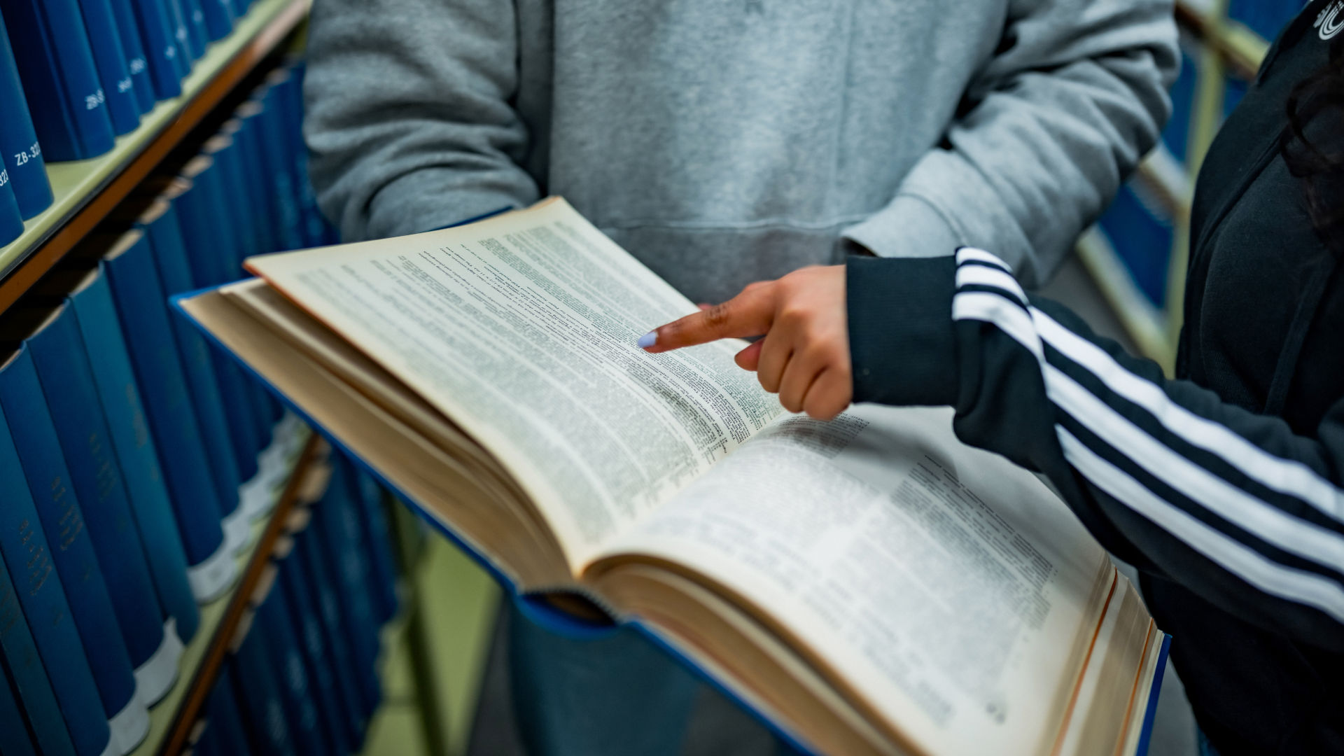 Beitragsbild für Rankings