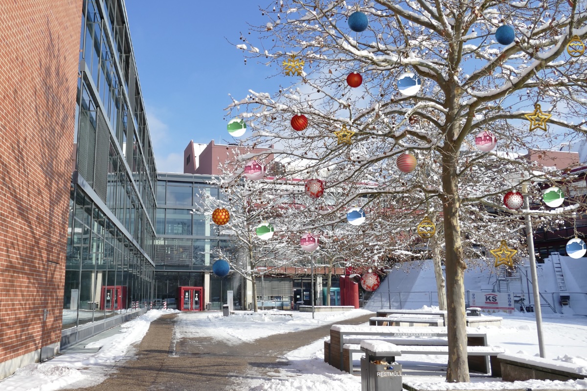 Die FAU WiSo wünscht fröhliche Weihnachten und ein glückliches neues Jahr